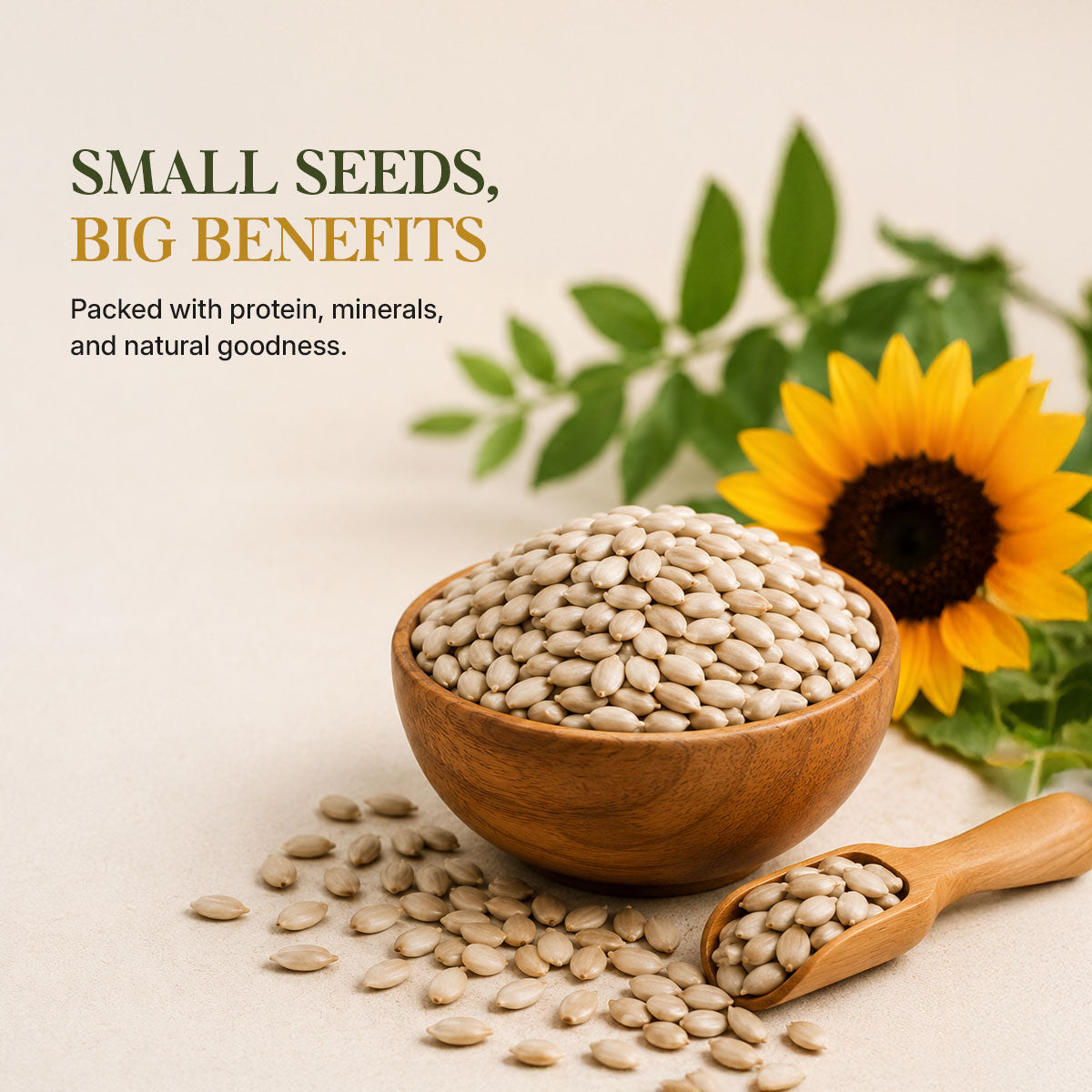 Aureveda Raw Sunflower Seeds 200g - Vitamin E Rich Super Seeds