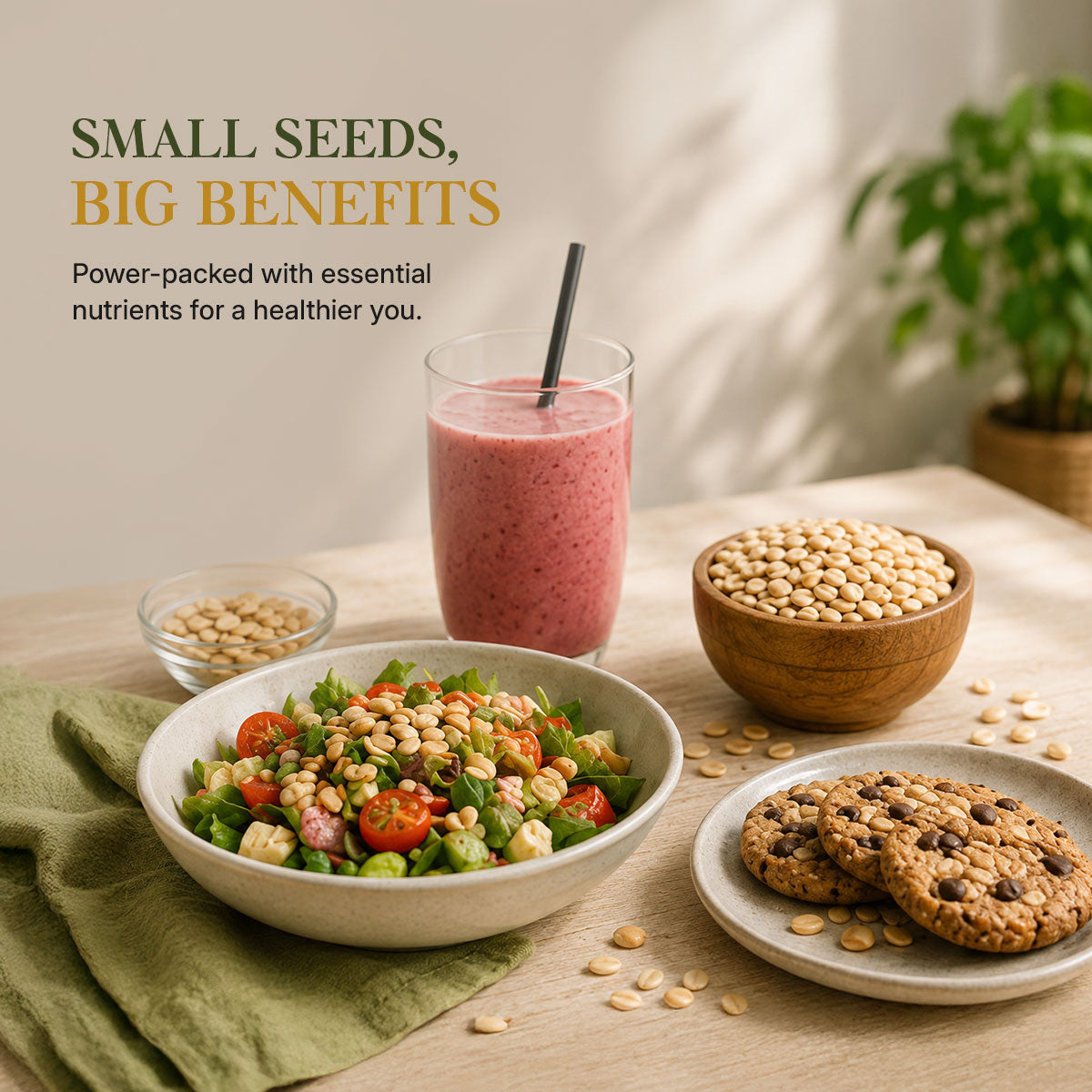Aureveda Watermelon Seeds 250g - High in Protein | Magaj Seeds